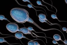 آیا تخلیه روزانه اسپرم برای سلامتی مضر است؟