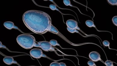 آیا تخلیه روزانه اسپرم برای سلامتی مضر است؟